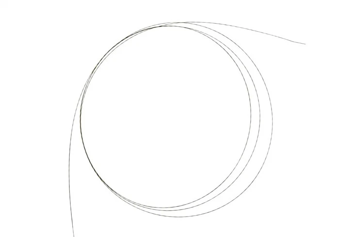 Disposable Zebra Guidewire