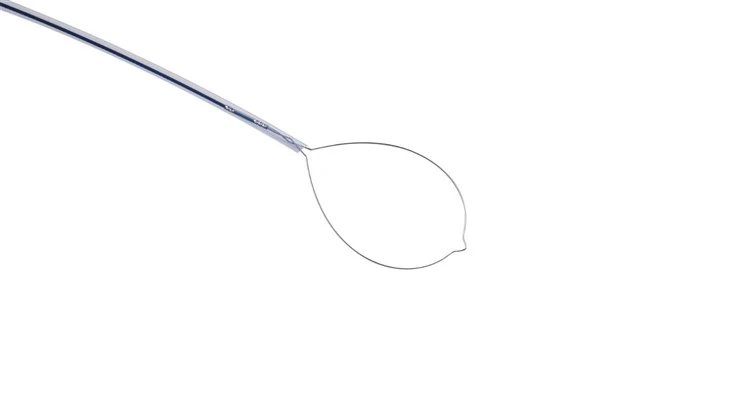 OEM/ODM Disposable Polypectomy Snares factory
